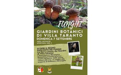 Immagine: SCOPRI IL REGNO NASCOSTO DEI FUNGHI
