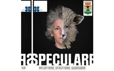 Speculare - Riflettere, sfruttare, guardare