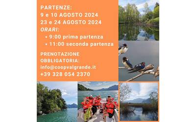 Immagine: Tour naturalistici in barca elettrica  agosto 2024