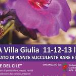 Immagine: Verbania Cactus Folies 22^ Edizione PROGRAMMA