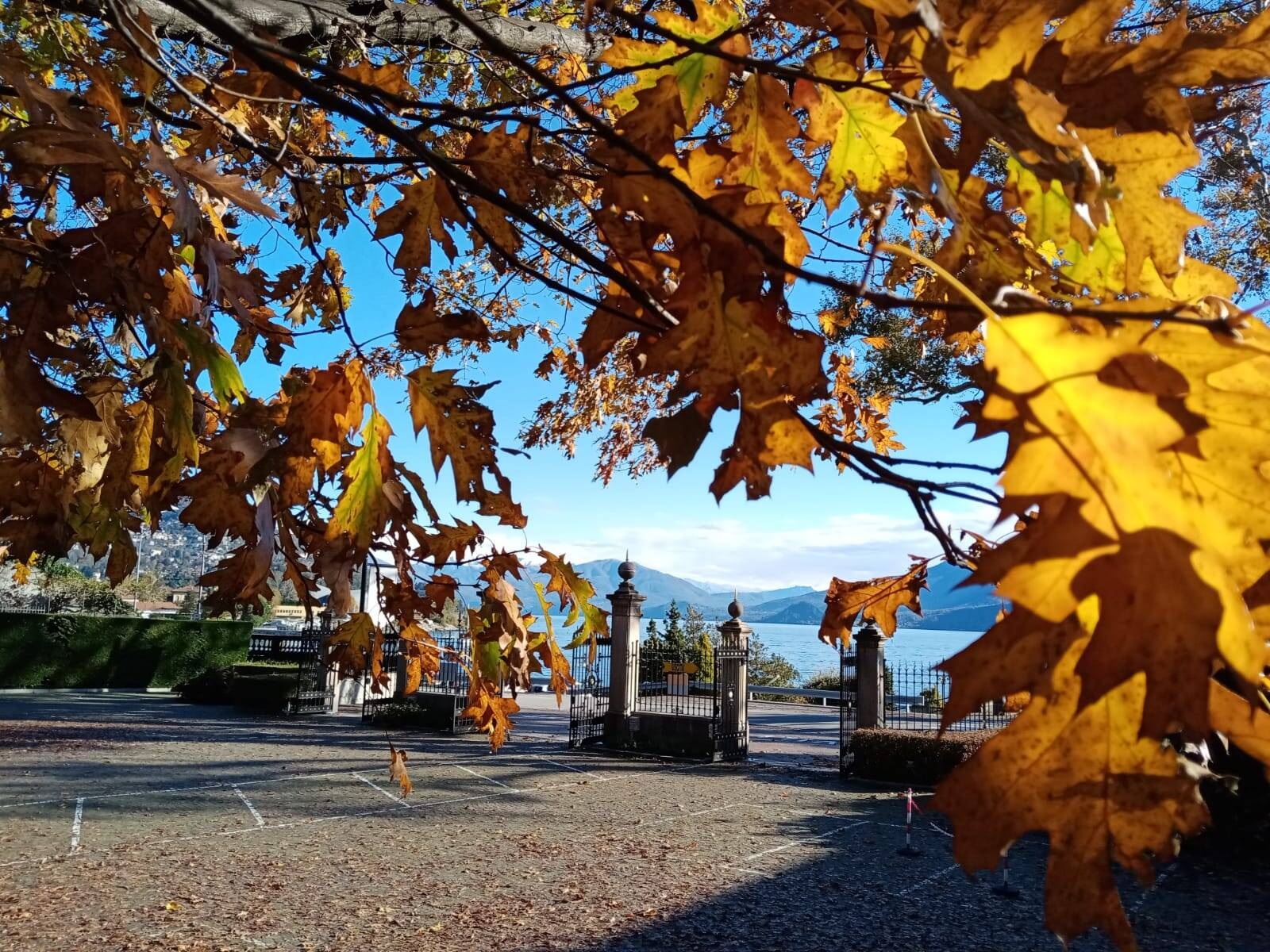 Immagine: Villa Taranto autunno