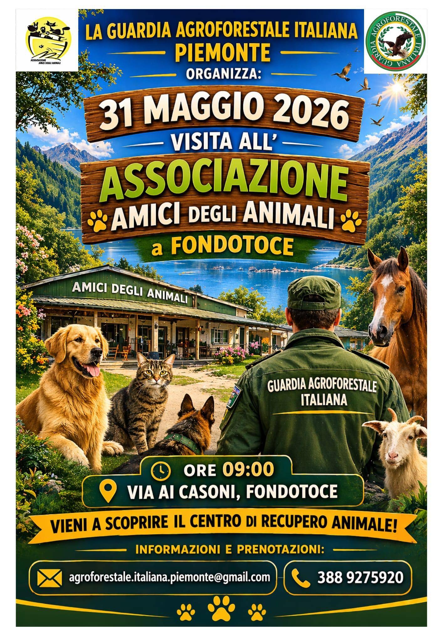 Immagine: Visita all'Associazione "Amici degli Animali"