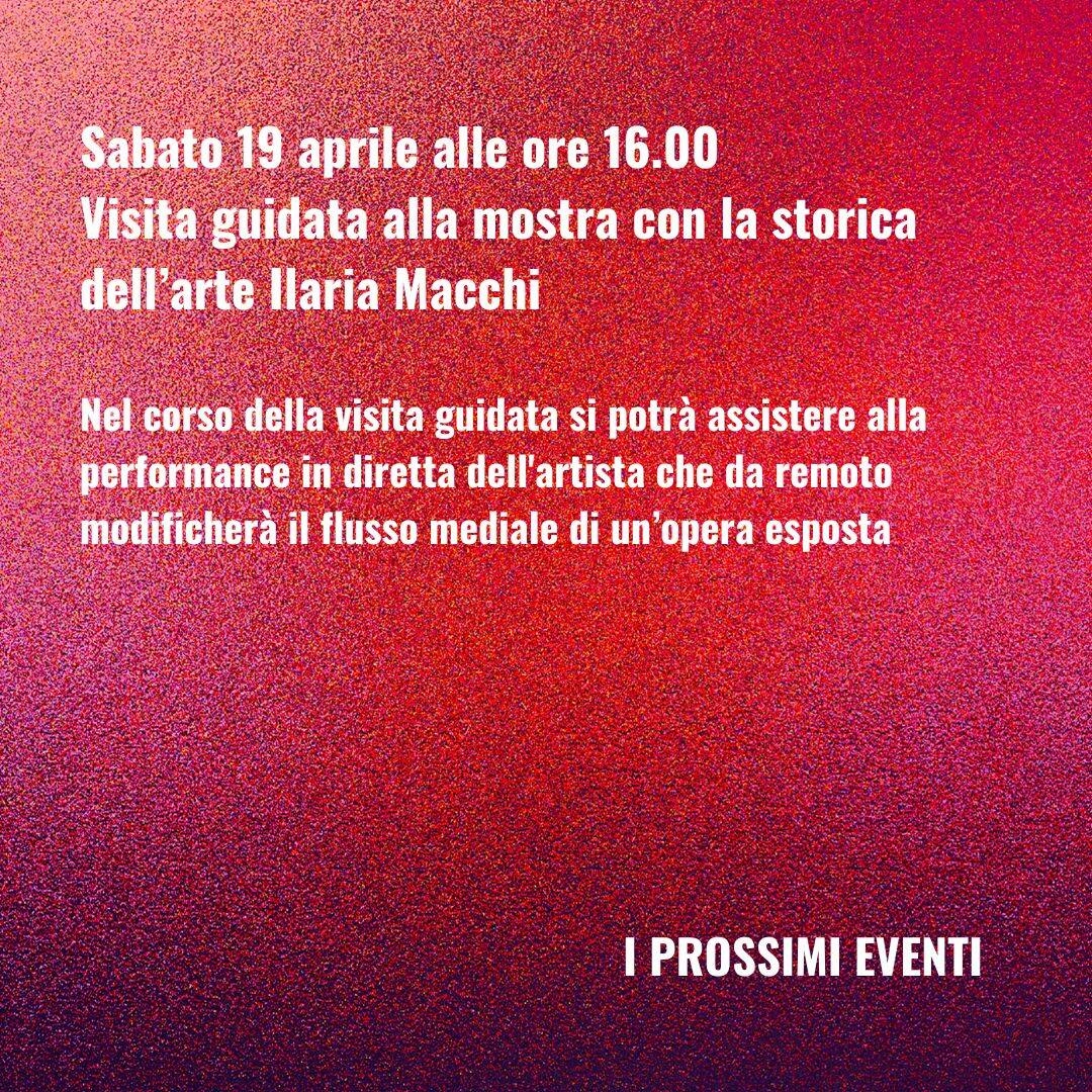 Immagine: Visita guidata alla mostra con Ilaria Macchi