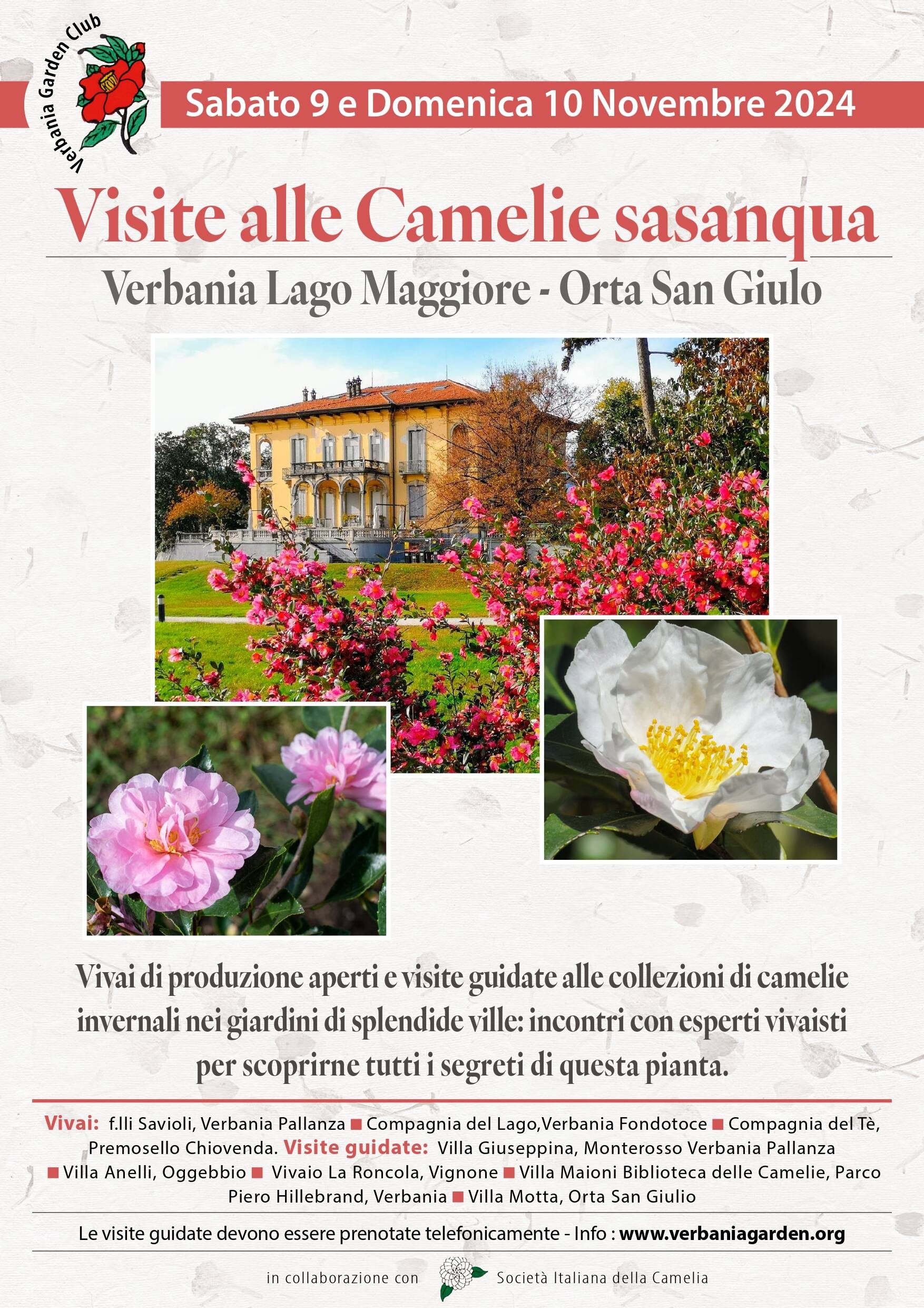 Immagine: Visite alle Camelie sasanqua