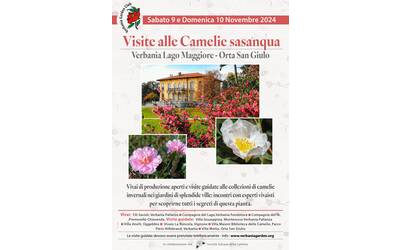 Immagine: Visite alle Camelie sasanqua