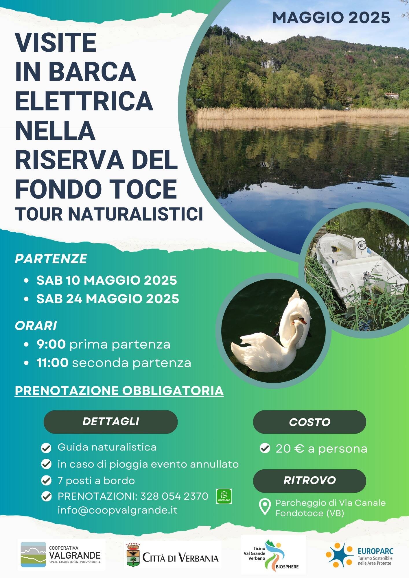 Visite in barca elettrica nella Riserva di Fondotoce