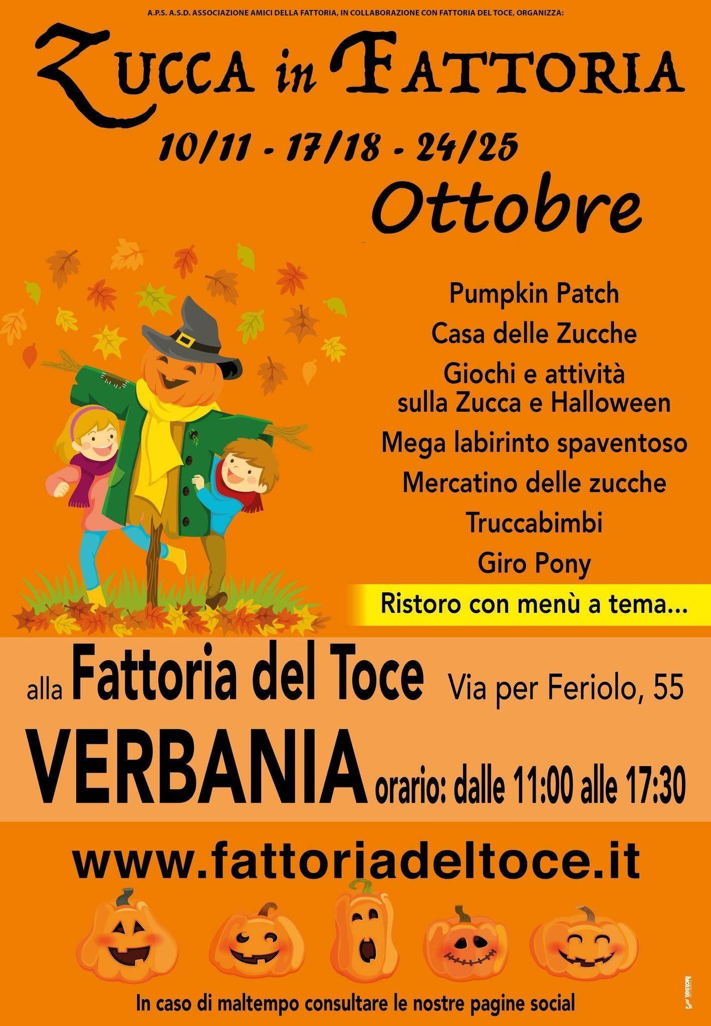 Zucca in Fattoria 2026