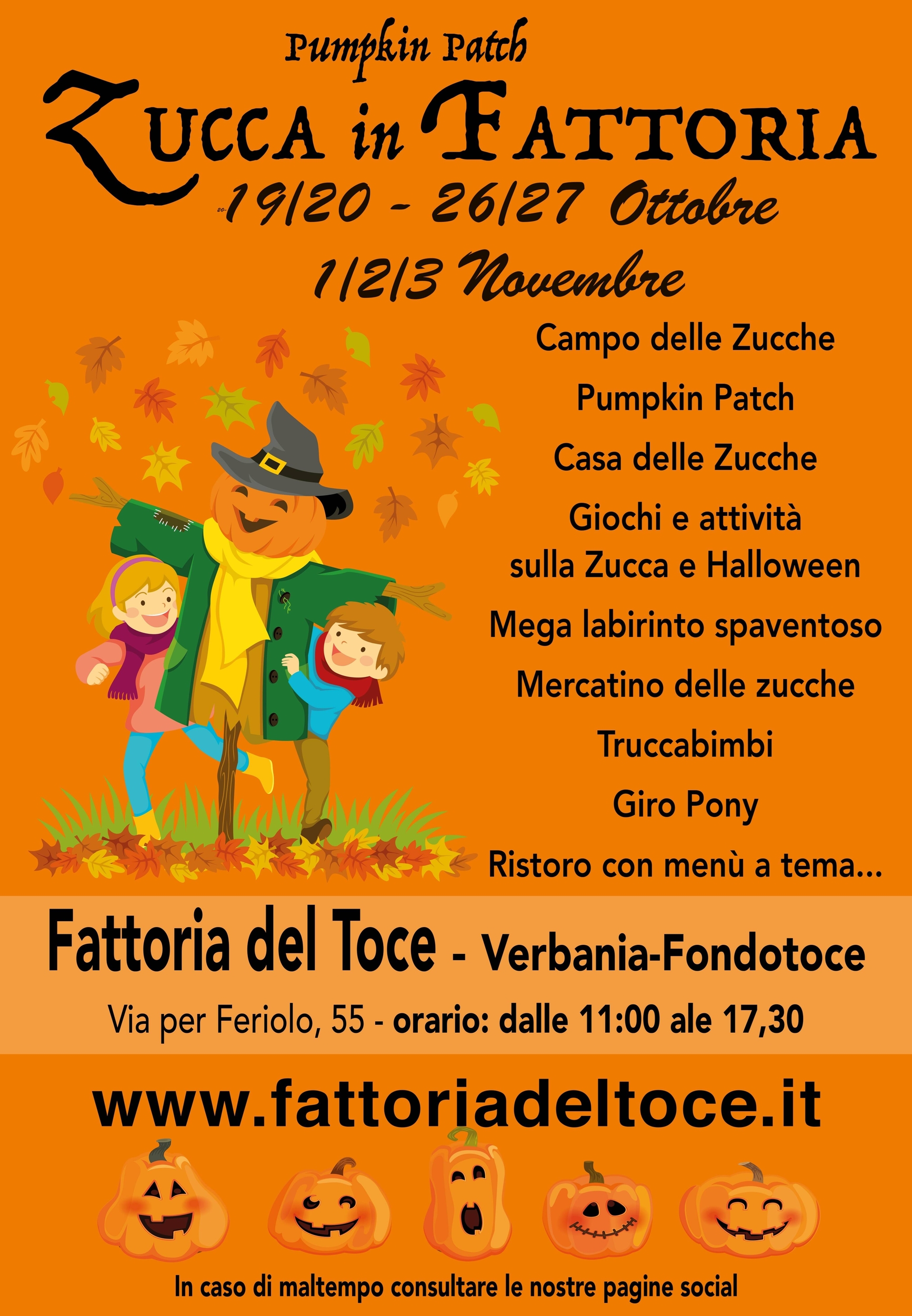 Immagine: Zucca in Fattoria