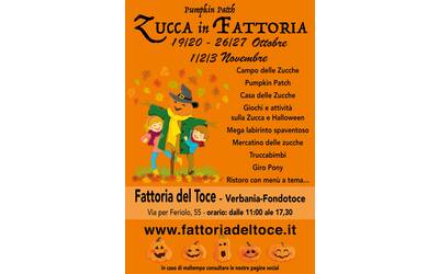 Immagine: Zucca in Fattoria